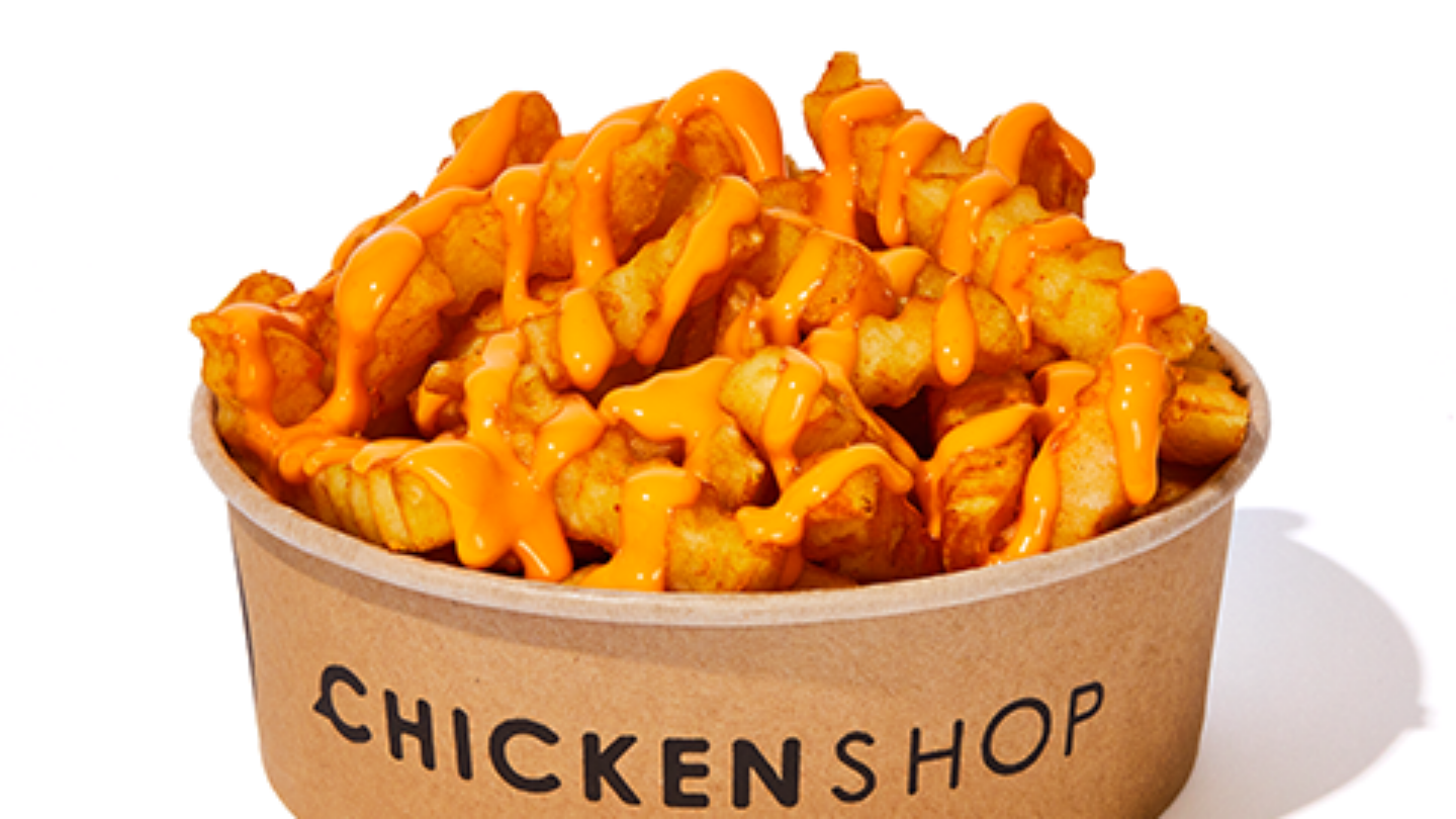 Fries_Cheesy_484_WEB