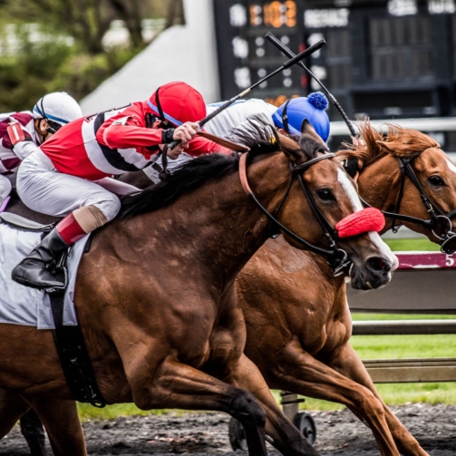 Youth Unity Horse Racing